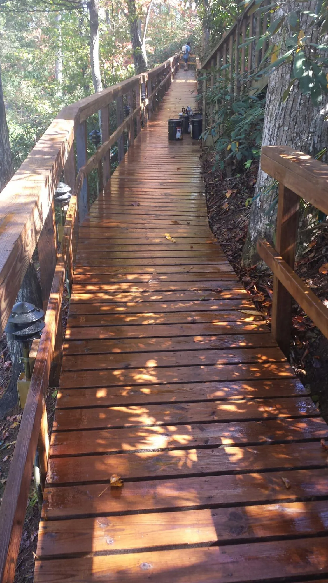 Freshly stained wood walkway winding through the woods in Center Harbor